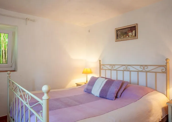 Somptueux Appartement Avec Jardin