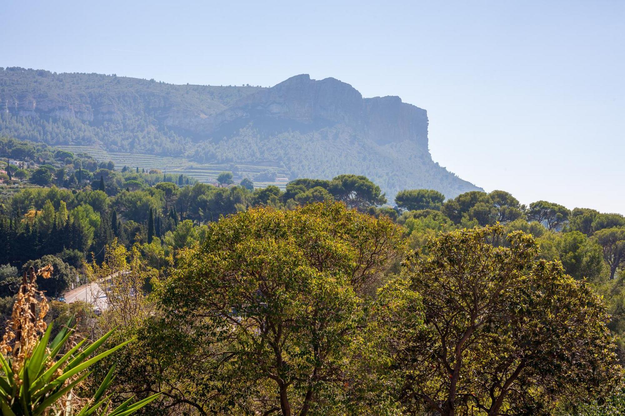Somptueux Avec Jardin Appartamento Cassis