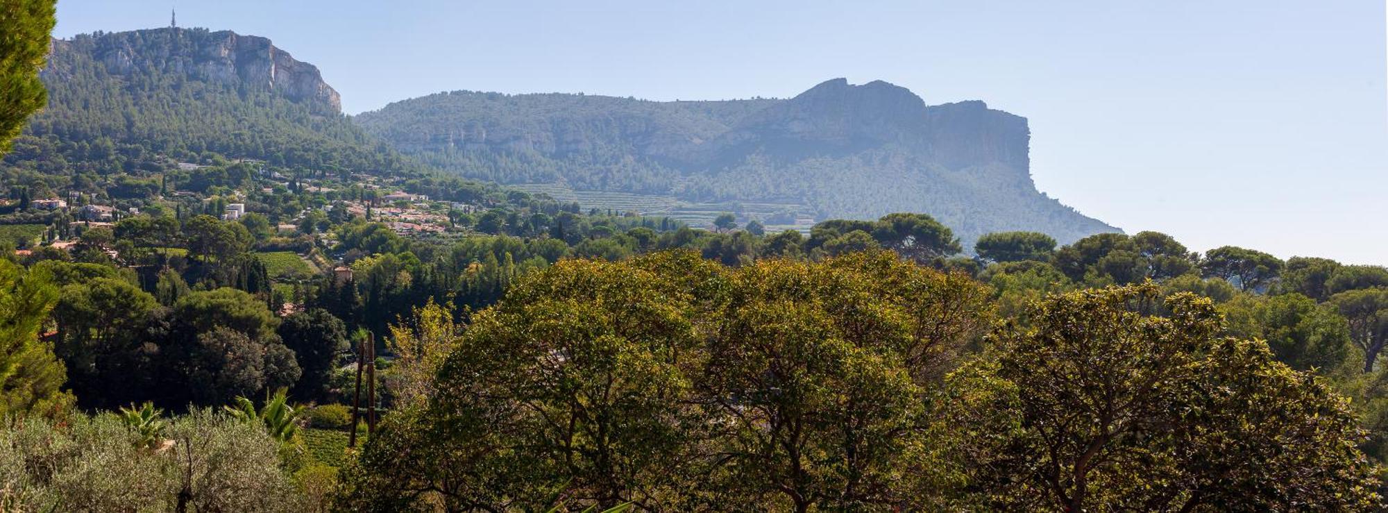 Somptueux Avec Jardin Cassis